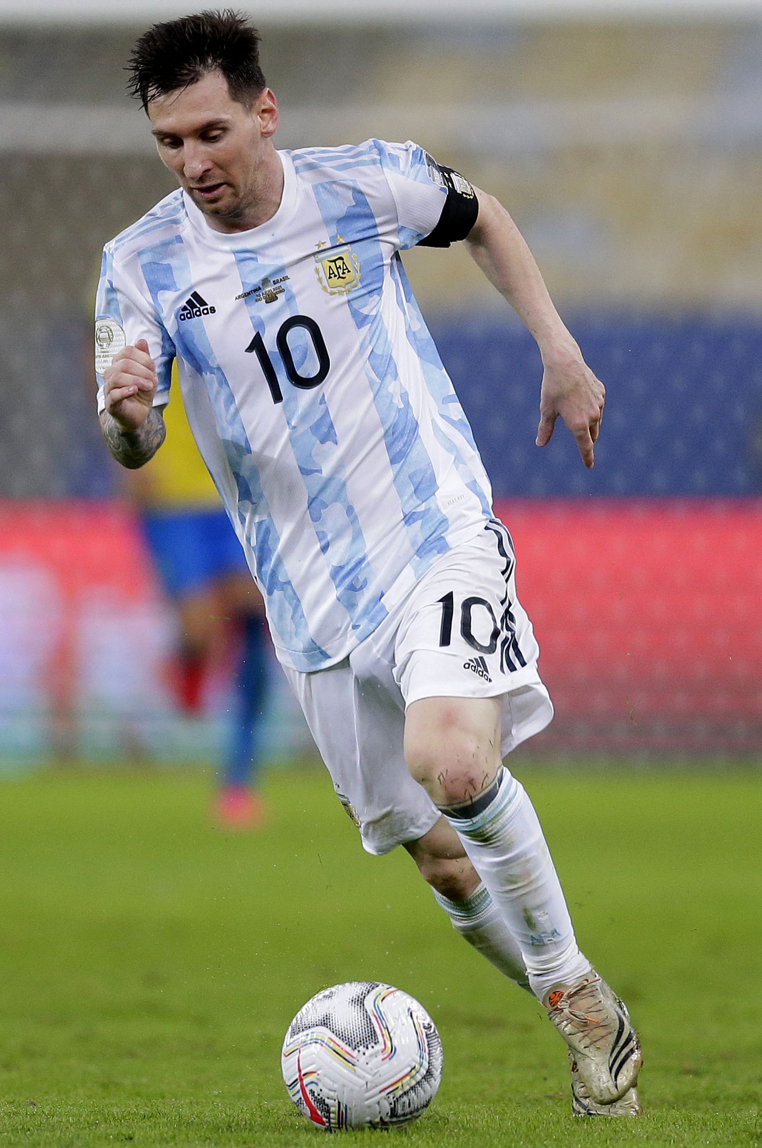 形成互补 形成互补